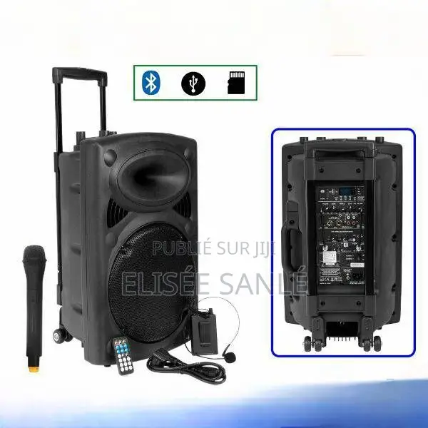 Système De Sonorisation Bluetooth D14 + 2 Microphones