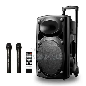 Système De Sonorisation Bluetooth D14 + 2 Microphones