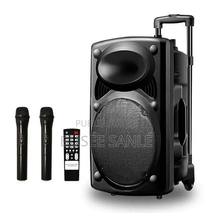 Système De Sonorisation Bluetooth D14 + 2 Microphones