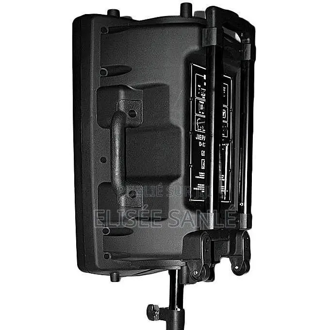 Système De Sonorisation Bluetooth D14 + 2 Microphones