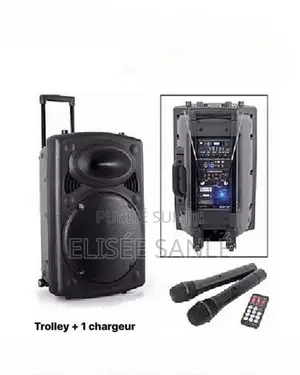 Système De Sonorisation Bluetooth D14 + 2 Microphones