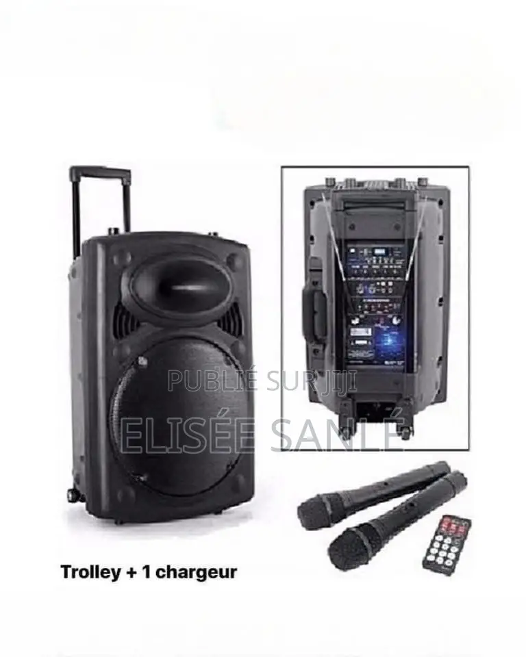 Système De Sonorisation Bluetooth D14 + 2 Microphones