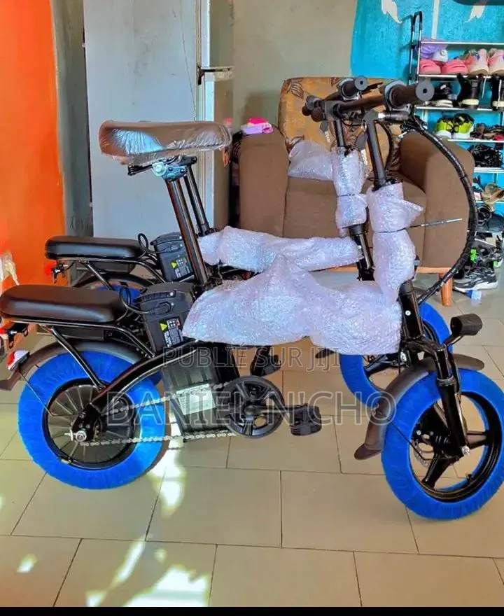 Vélo Électrique