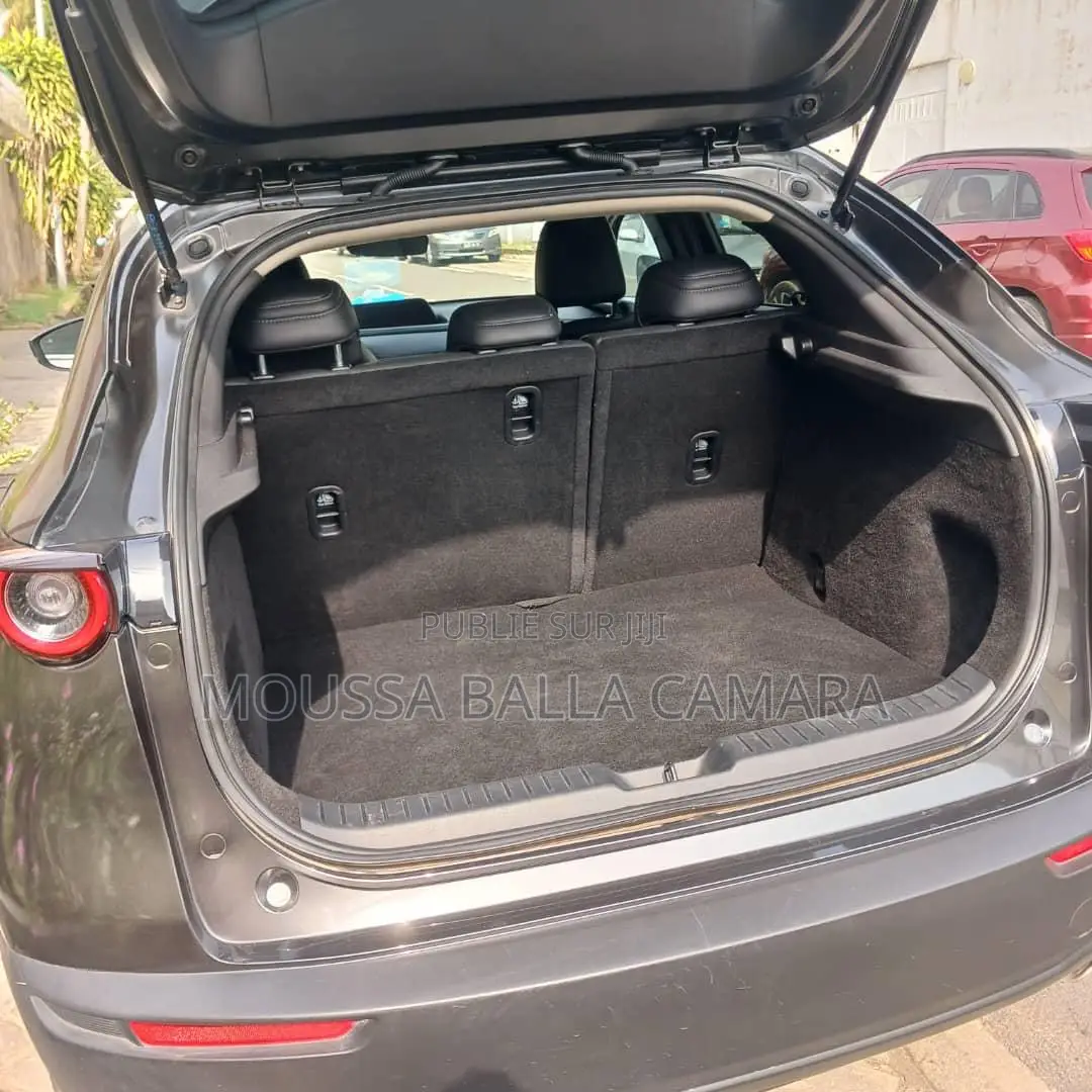 Mazda MX-30 Premium Plus 2023 Gris