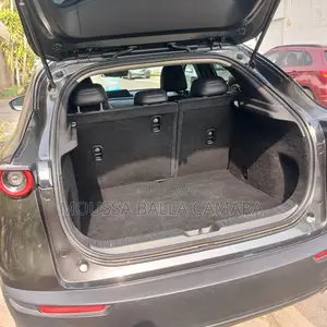 Mazda MX-30 Premium Plus 2023 Gris