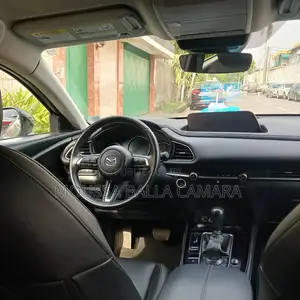 Mazda MX-30 Premium Plus 2023 Gris