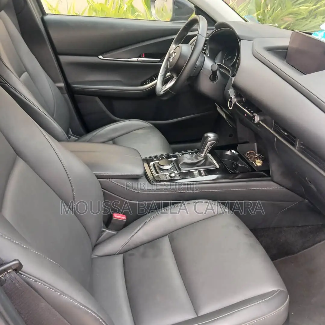 Mazda MX-30 Premium Plus 2023 Gris