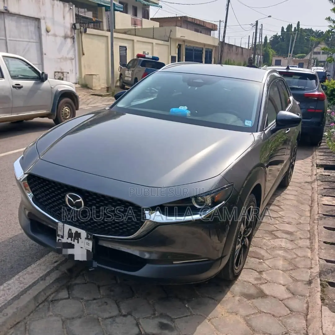 Mazda MX-30 Premium Plus 2023 Gris