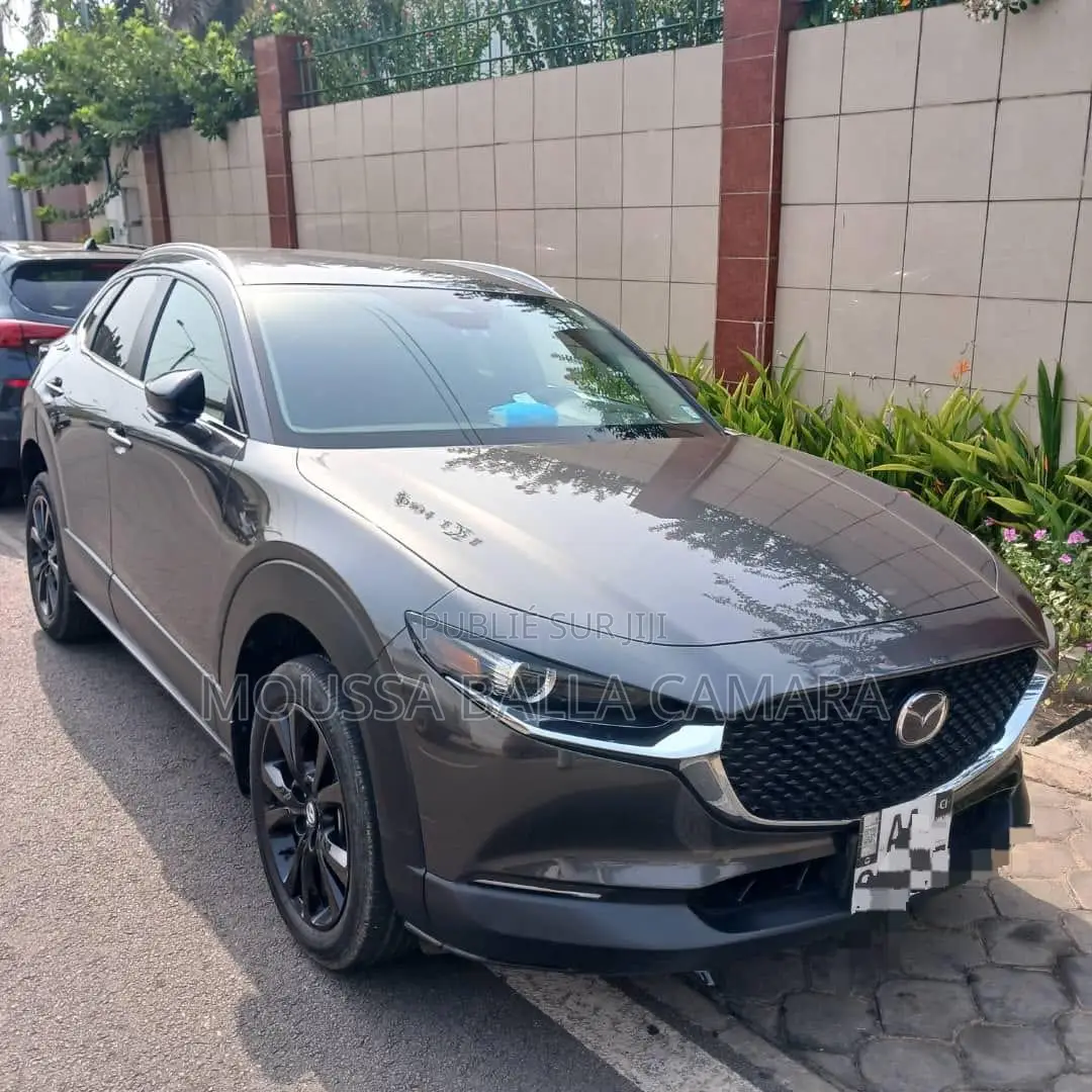 Mazda MX-30 Premium Plus 2023 Gris