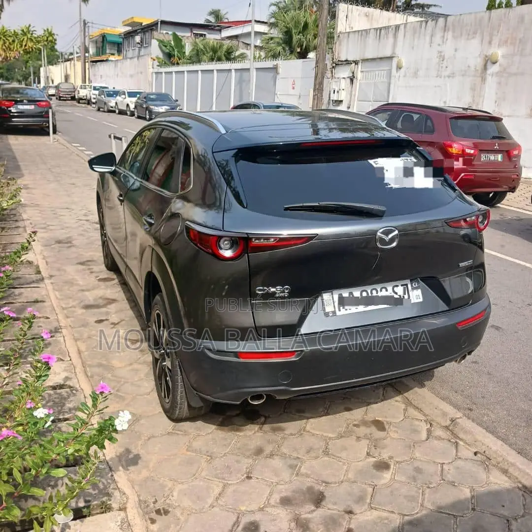 Mazda MX-30 Premium Plus 2023 Gris