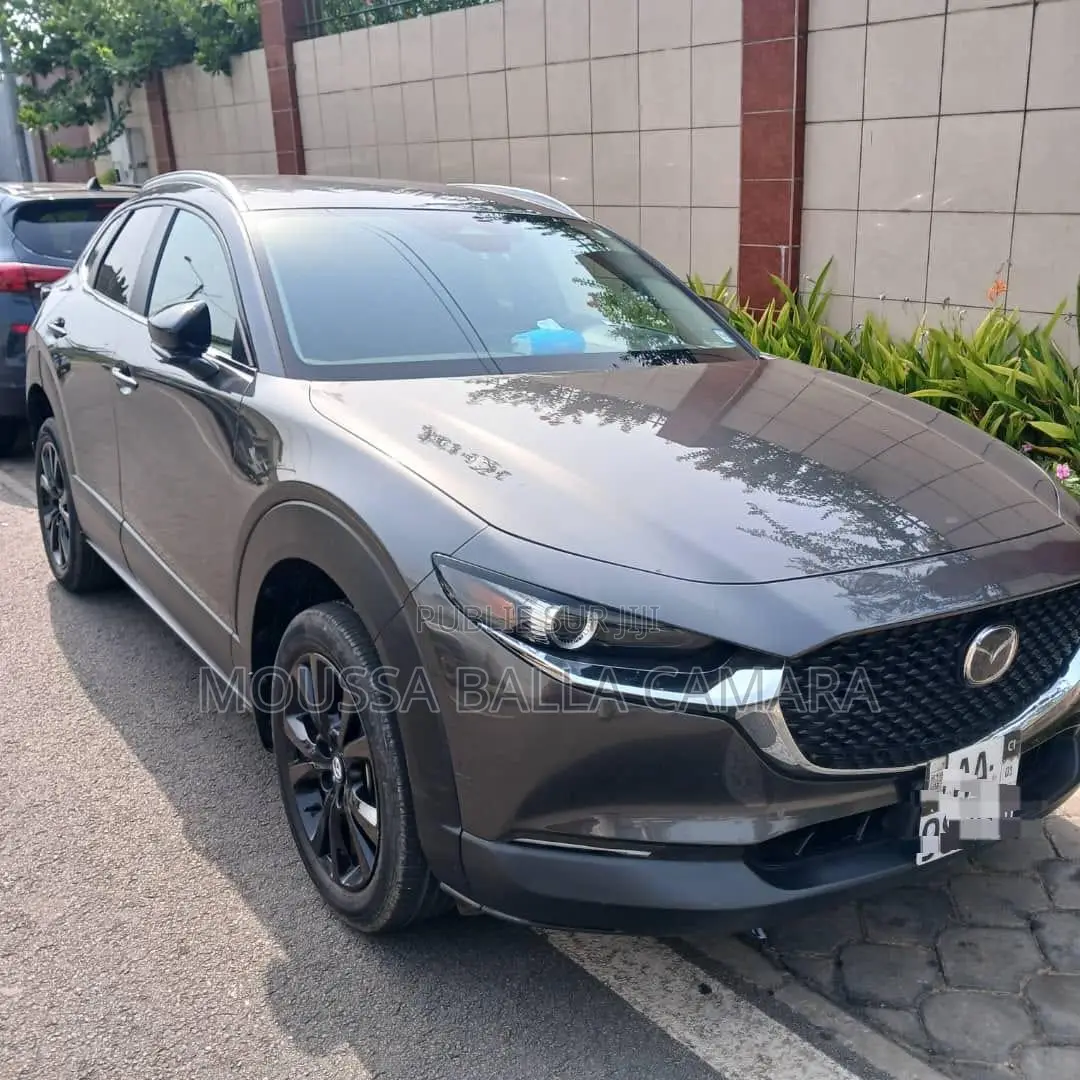 Mazda MX-30 Premium Plus 2023 Gris