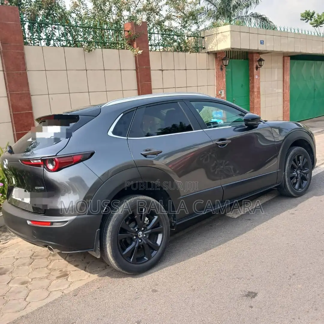 Mazda MX-30 Premium Plus 2023 Gris