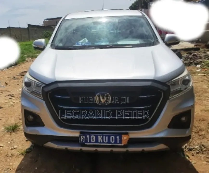 Changan Raeton 2020 Gris