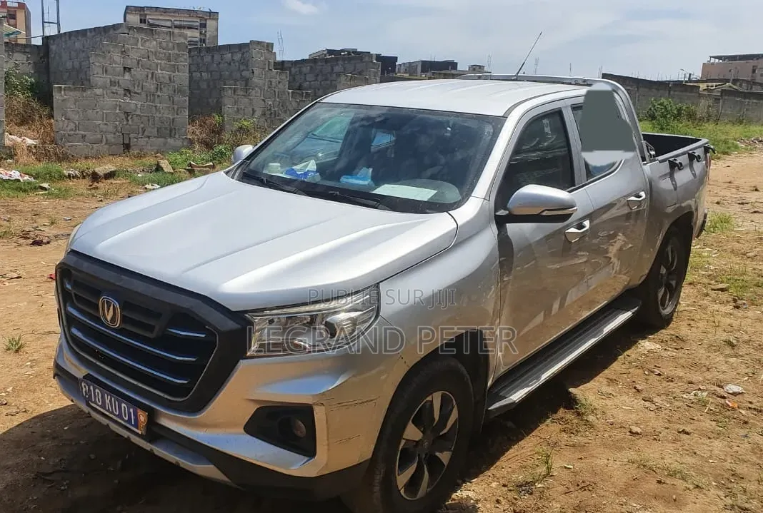 Changan Raeton 2020 Gris