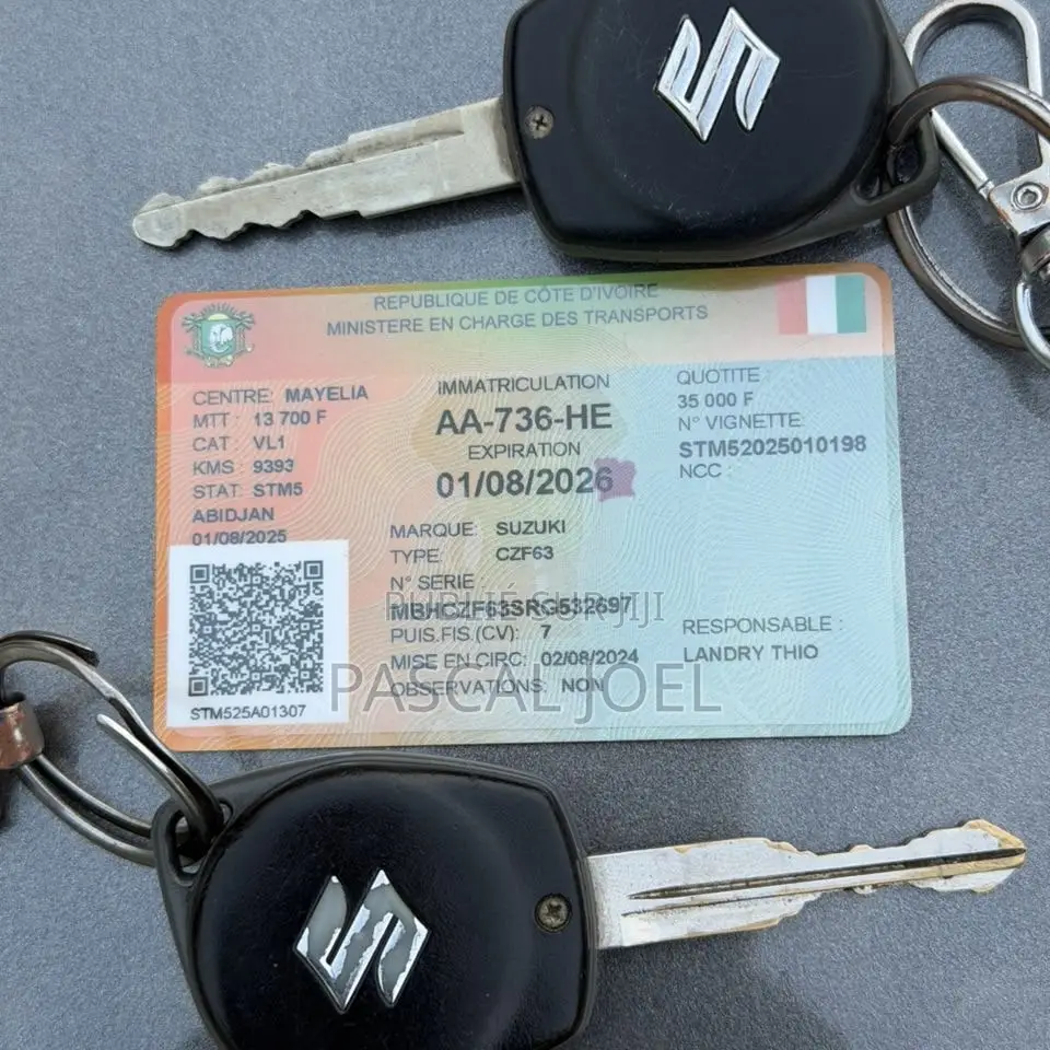 Suzuki Dzire 2024 Gris