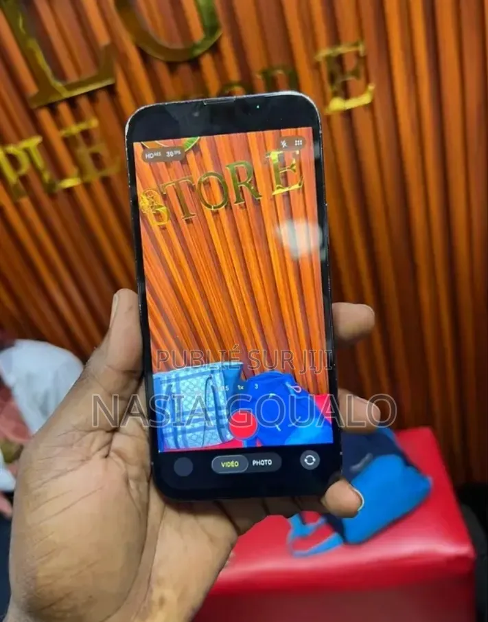 Nouveau Apple iPhone 13 Pro Max 256 GB Bleu