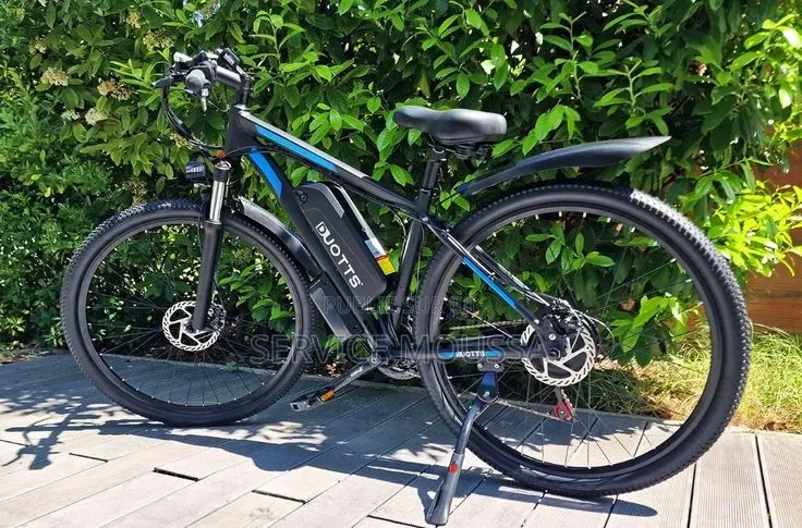 Vélo Électrique