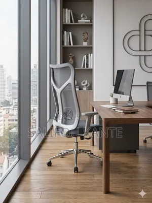 Fauteille Bureau Dg