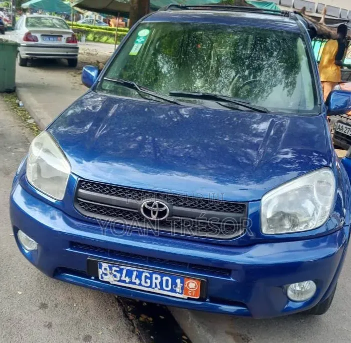 Toyota RAV4 2008 Bleu