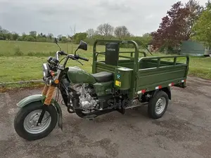 Nouveau Tricycle Autre 2024 Beige