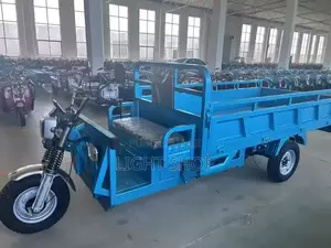 Nouveau Tricycle Autre 2024 Beige