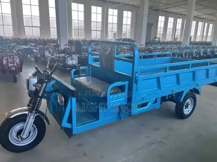 Nouveau Tricycle Autre 2024 Beige