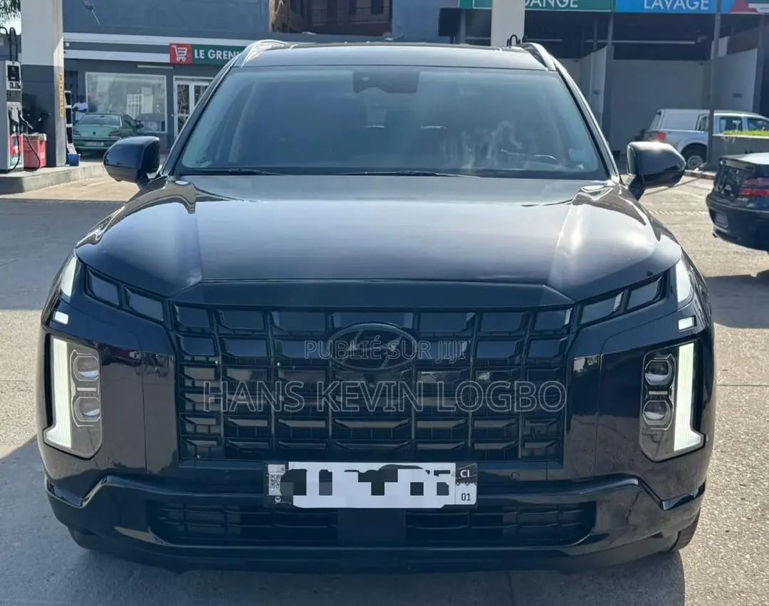 Hyundai Palissade 2025 Violet