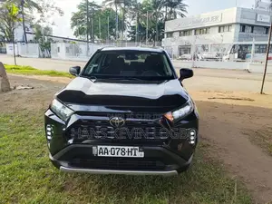 Toyota RAV4 2020 Noir Mat