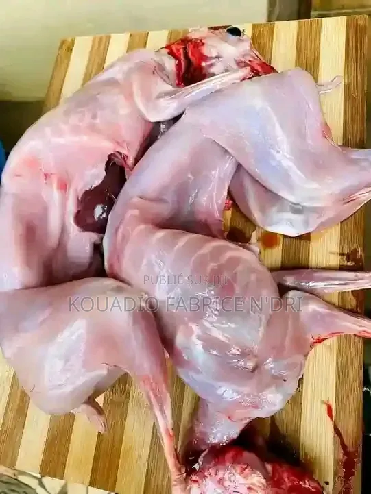 Vente De Lapin