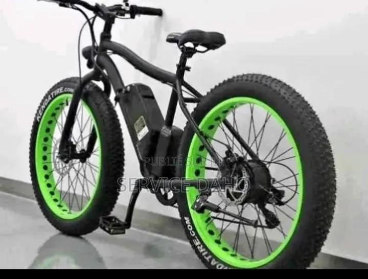 Vélo Électrique