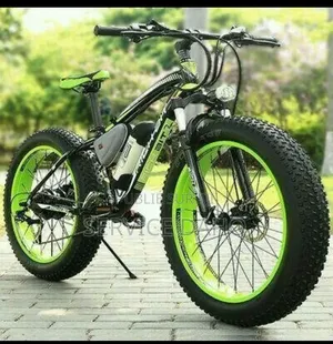 Vélo Électrique