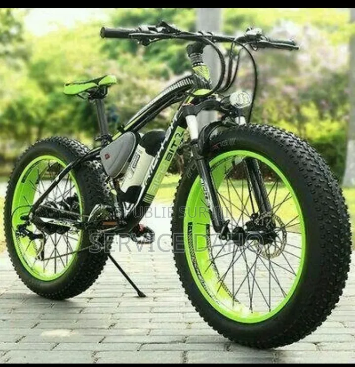 Vélo Électrique