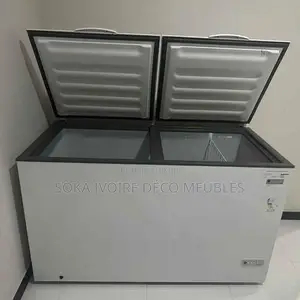 Congélateur Nasco 397 Litre