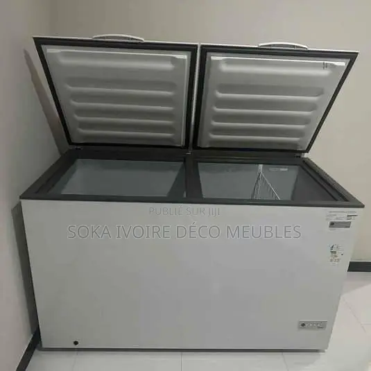 Congélateur Nasco 397 Litre