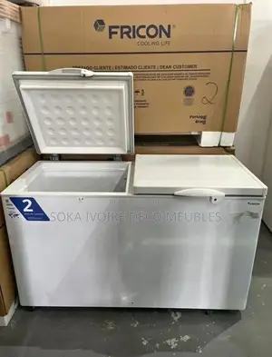 Congélateur Nasco 397 Litre