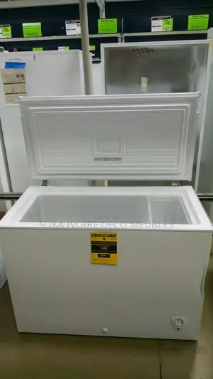 Congélateur Nasco 397 Litre