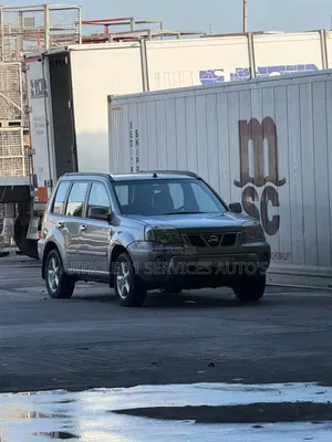 Nissan X-Trail 2.2 D SE 4x4 2002 Gris