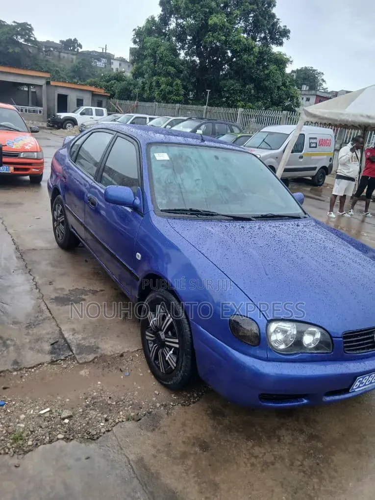 Toyota Corolla 2003 Bleu