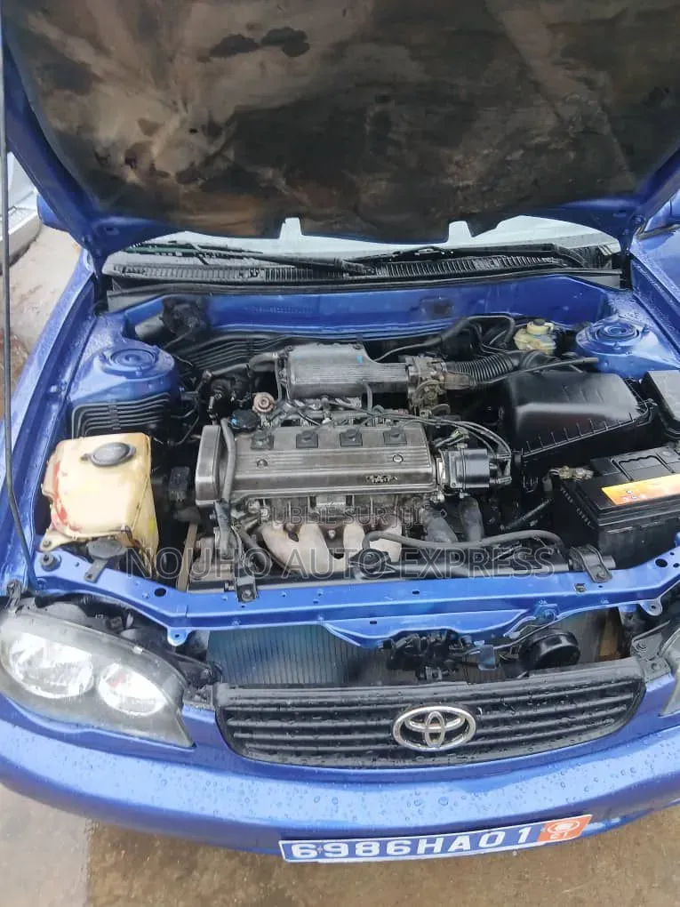 Toyota Corolla 2003 Bleu