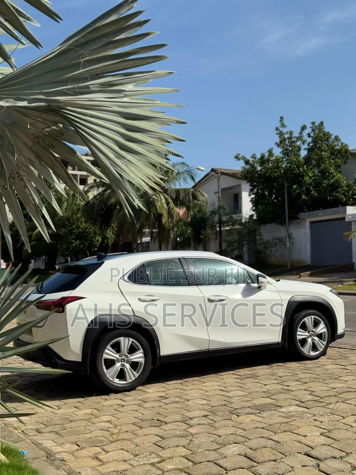 Lexus UX 250h AWD 2023 Blanc