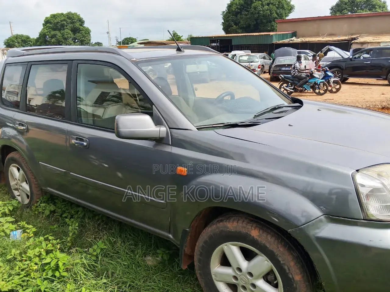 Nissan X-Trail 2007 Gris