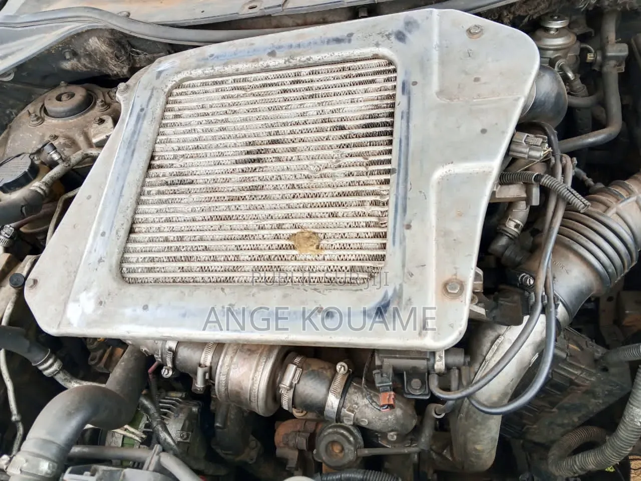 Nissan X-Trail 2007 Gris