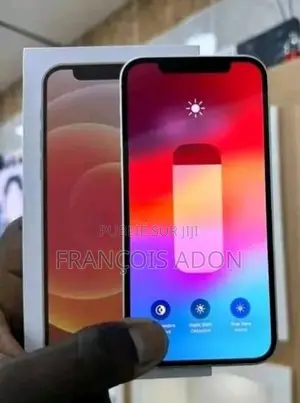 Nouveau Apple iPhone 12 128 GB Gris