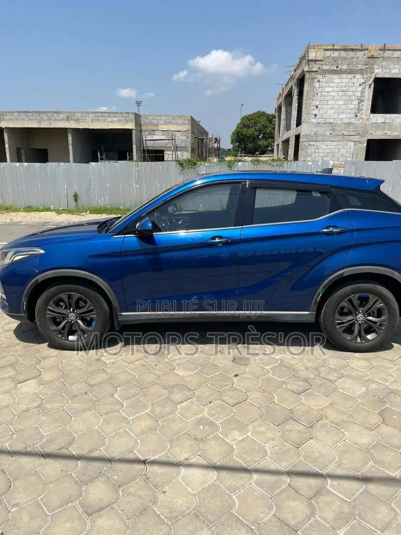 Dongfeng Glory 2021 Bleu