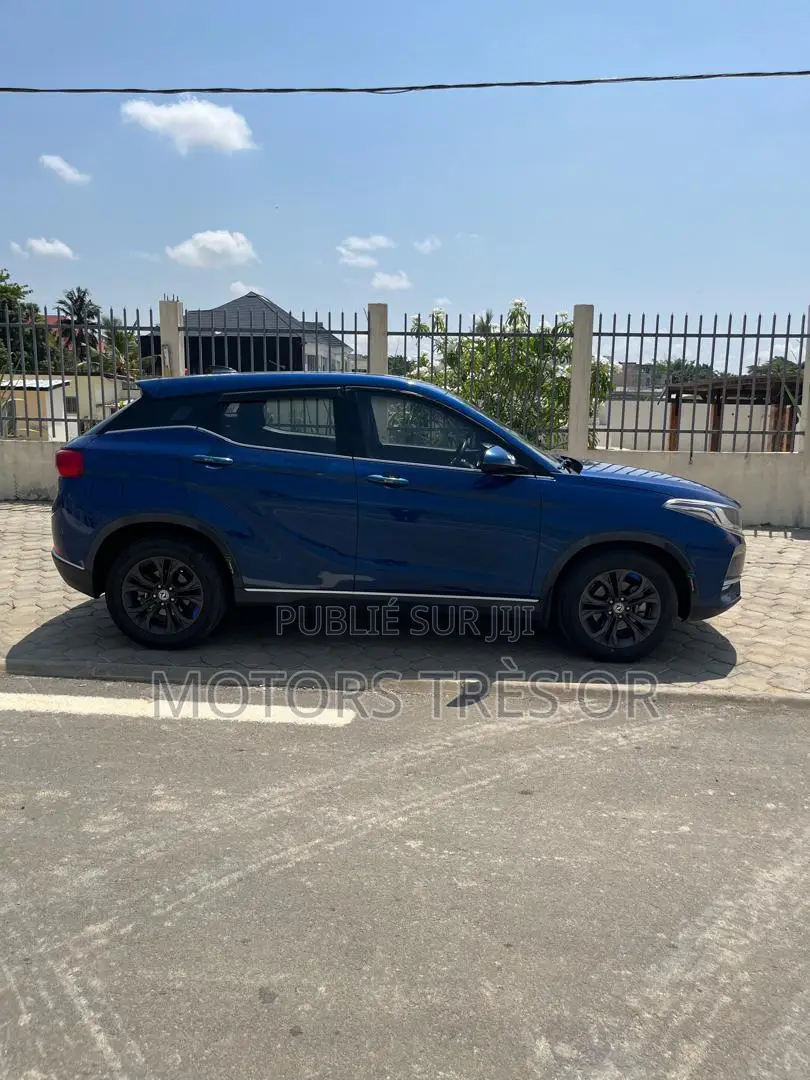 Dongfeng Glory 2021 Bleu