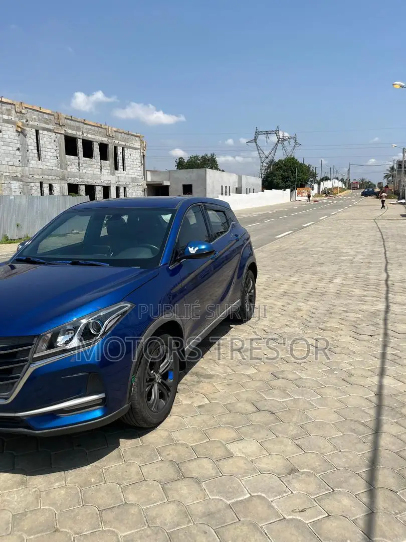 Dongfeng Glory 2021 Bleu