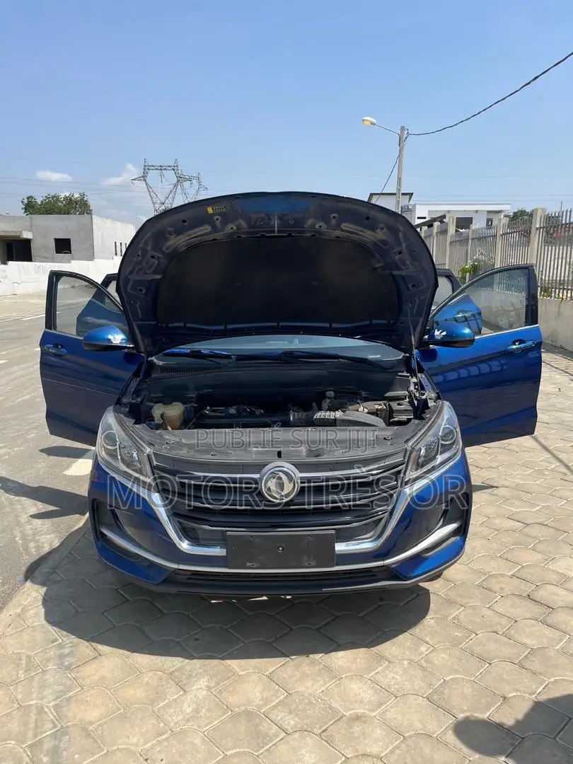 Dongfeng Glory 2021 Bleu