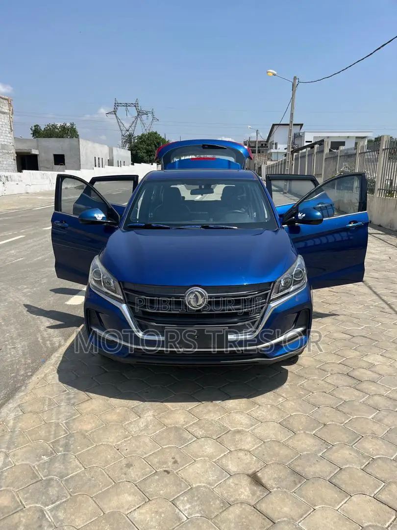 Dongfeng Glory 2021 Bleu