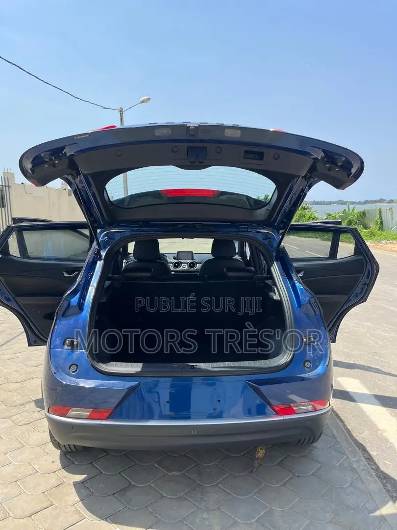 Dongfeng Glory 2021 Bleu