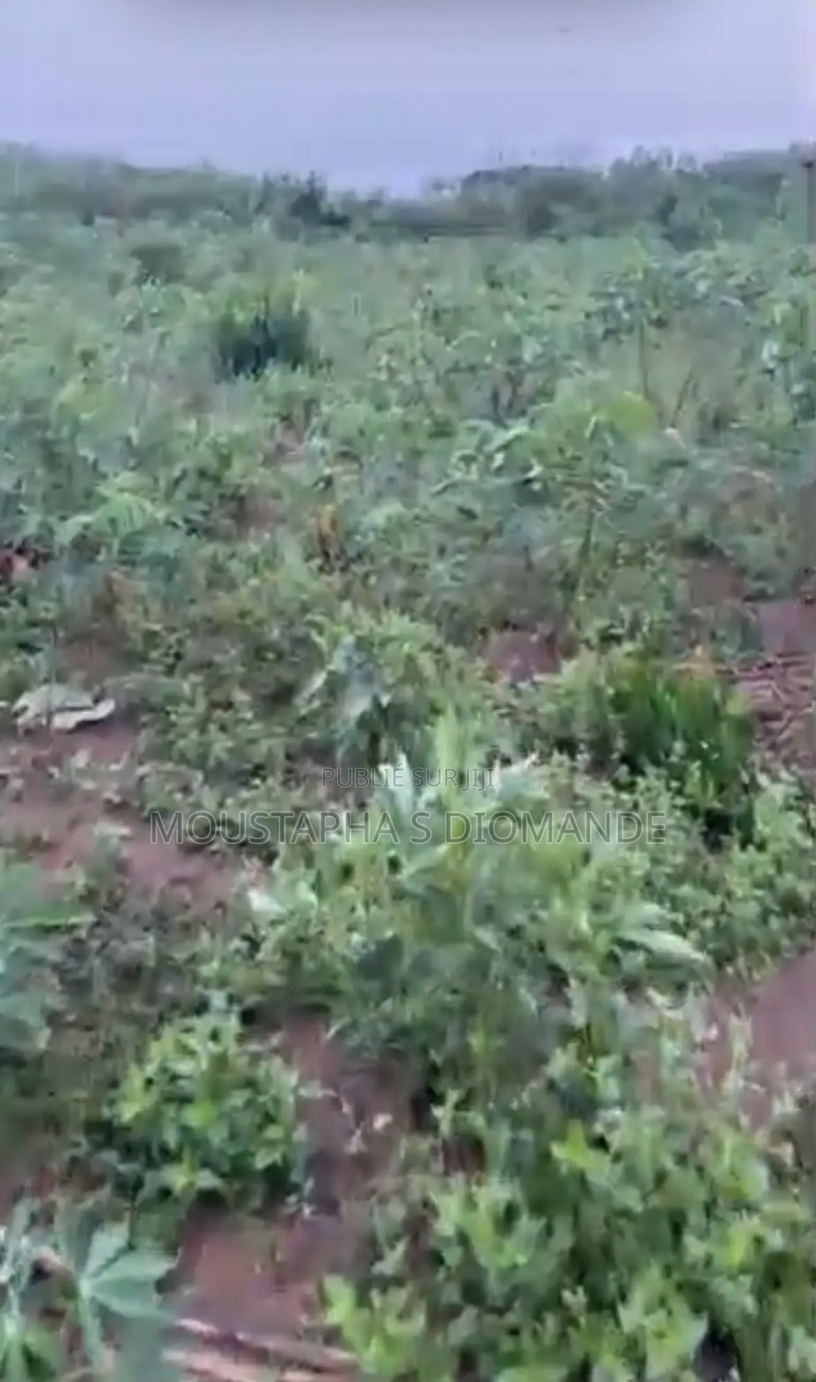 3 Lots À Vendre